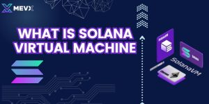 What is solana virtual machine