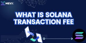 What is Solana Transaction Fee