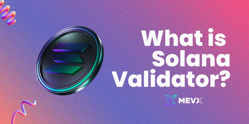 What is Solana Validator