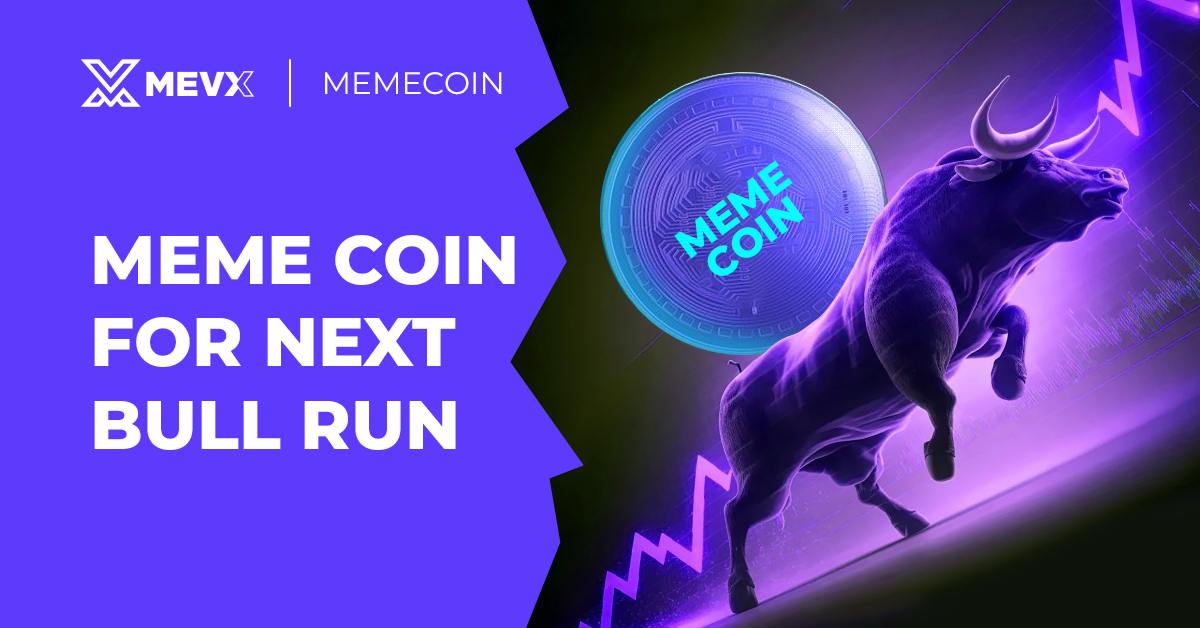 Meme Coin Bull Run