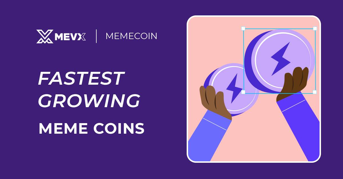 Top Strategies to Invest in the Fastest Growing Meme Coin