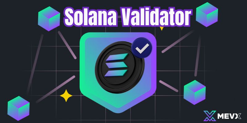 What is Solana Validator