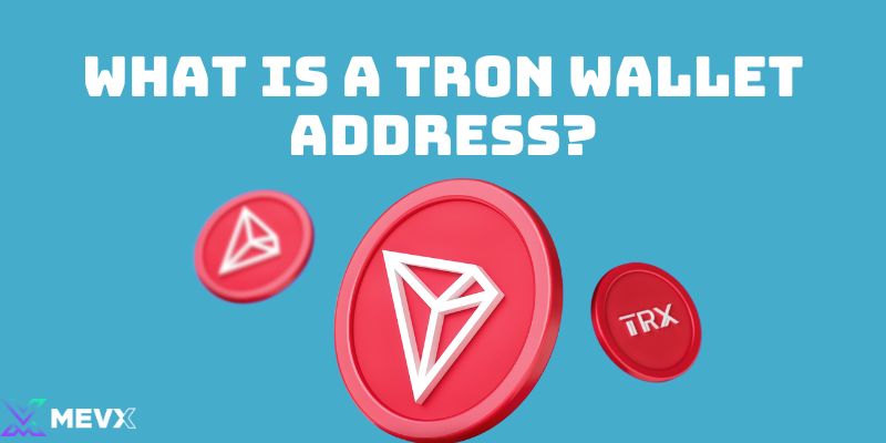 What is a Tron Wallet Address?