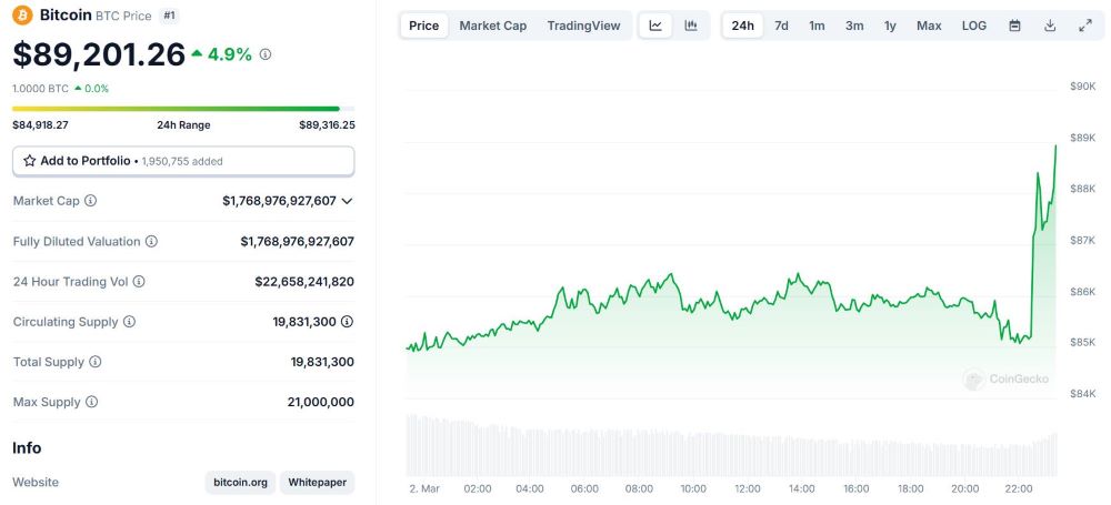 Bitcoin Price Fluctuations in the Last 24 Hours, Screenshot from CoinGecko at 11:25 PM on March 2, 2025