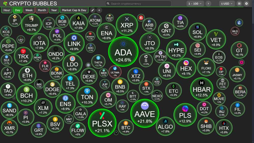 Fluctuations of Top Cryptocurrencies