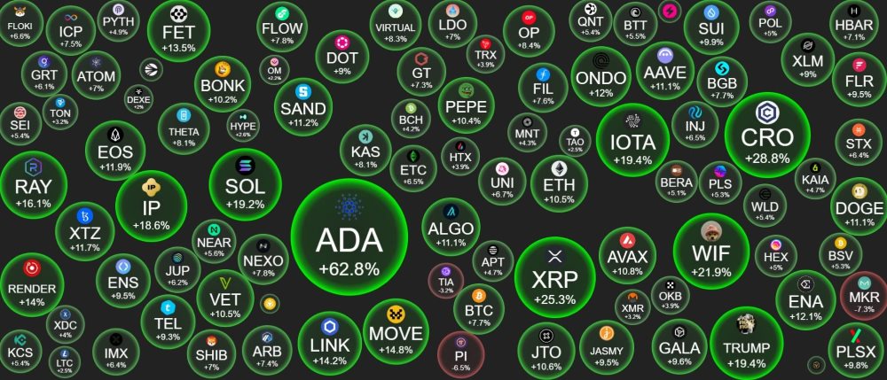 Top Cryptocurrency Movements in the Last 24 Hours. Data from Crypto Bubbles on the Morning of March 3, 2025.